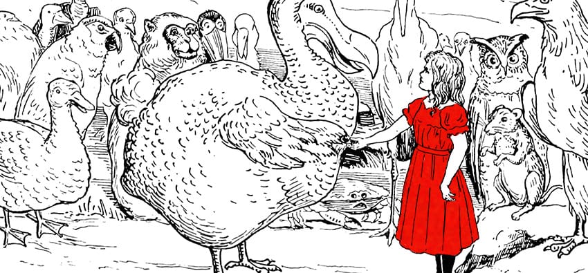 Krótka popołudniowa drzemka, czyli o "Alicji w Krainie Czarów"