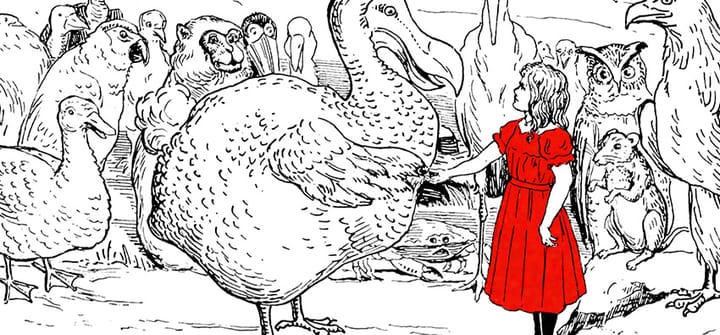 Krótka popołudniowa drzemka, czyli o "Alicji w Krainie Czarów"